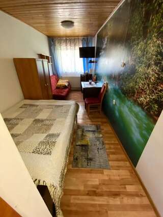 Проживание в семье Abba -pokoje wakacyjne Висла Небольшой двухместный номер с 1 кроватью и собственной ванной комнатой-16